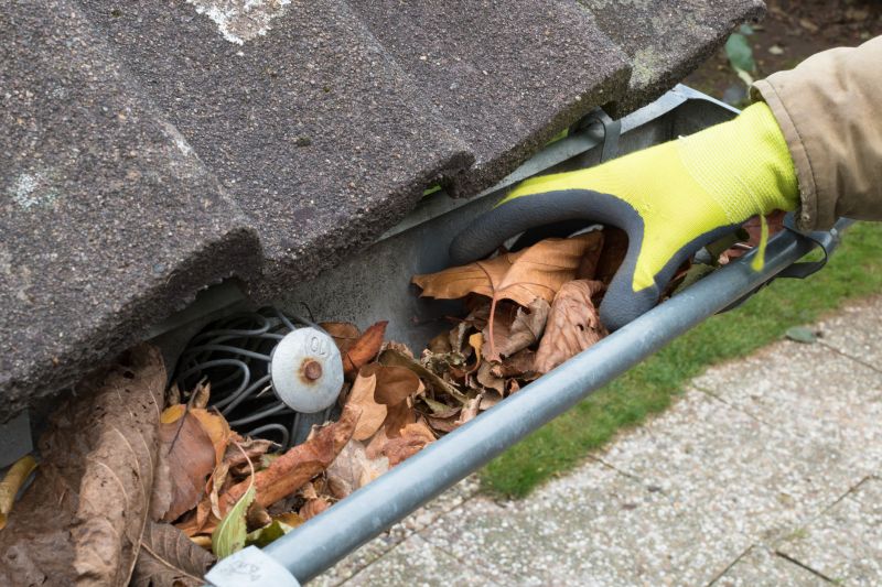 Seasonal Gutter Care