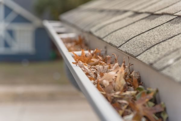 Leaf Barrier Installation in Allentown